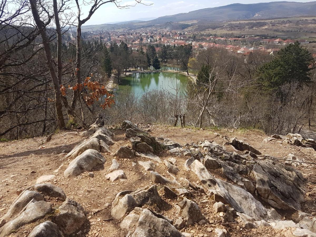Két Diófa Vendégház Felsőtárkány Exterior foto